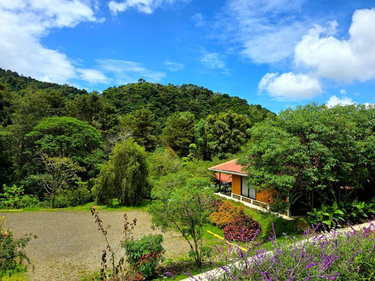 Hotel De Montana Suria 산제라르도 데 도타 객실 사진